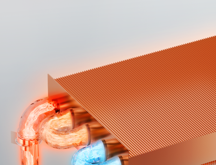 202601152356366798.jpg 2.jpg